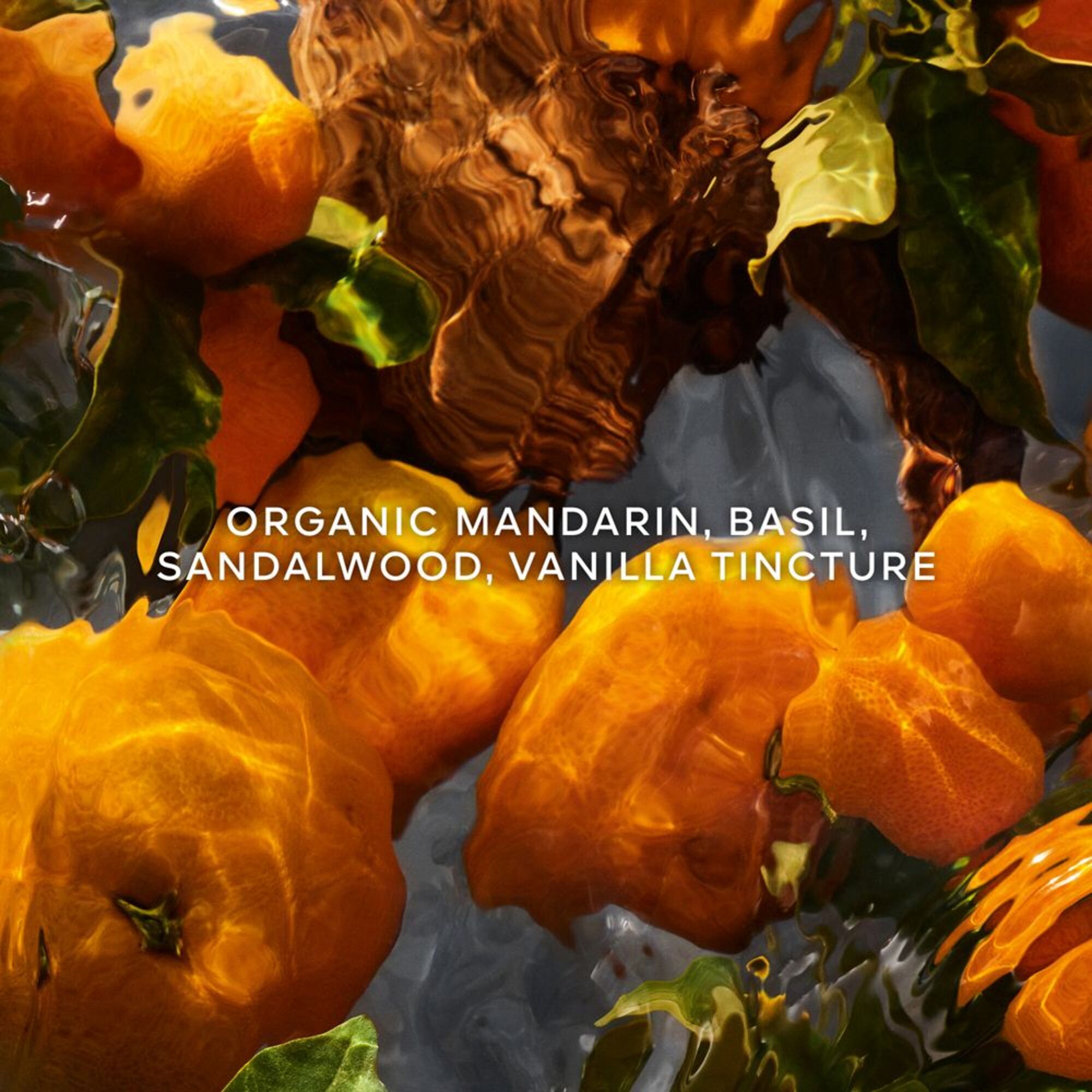 Mandarine Basilic Forte Eau de Parfum Nachfüllung