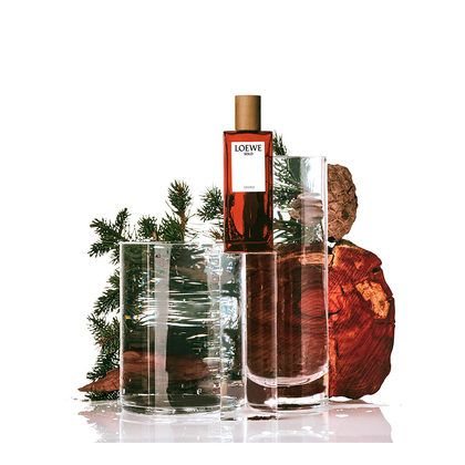 LOEWE SOLO CEDRO E