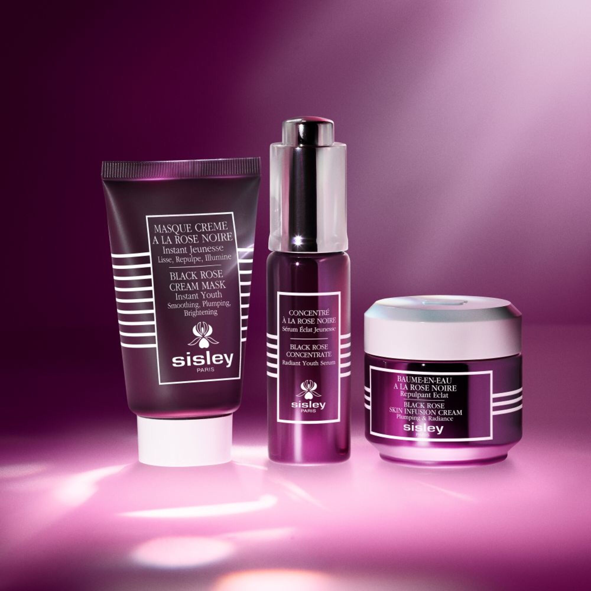 SI CONCENTRATE Á LA ROSE NOIRE