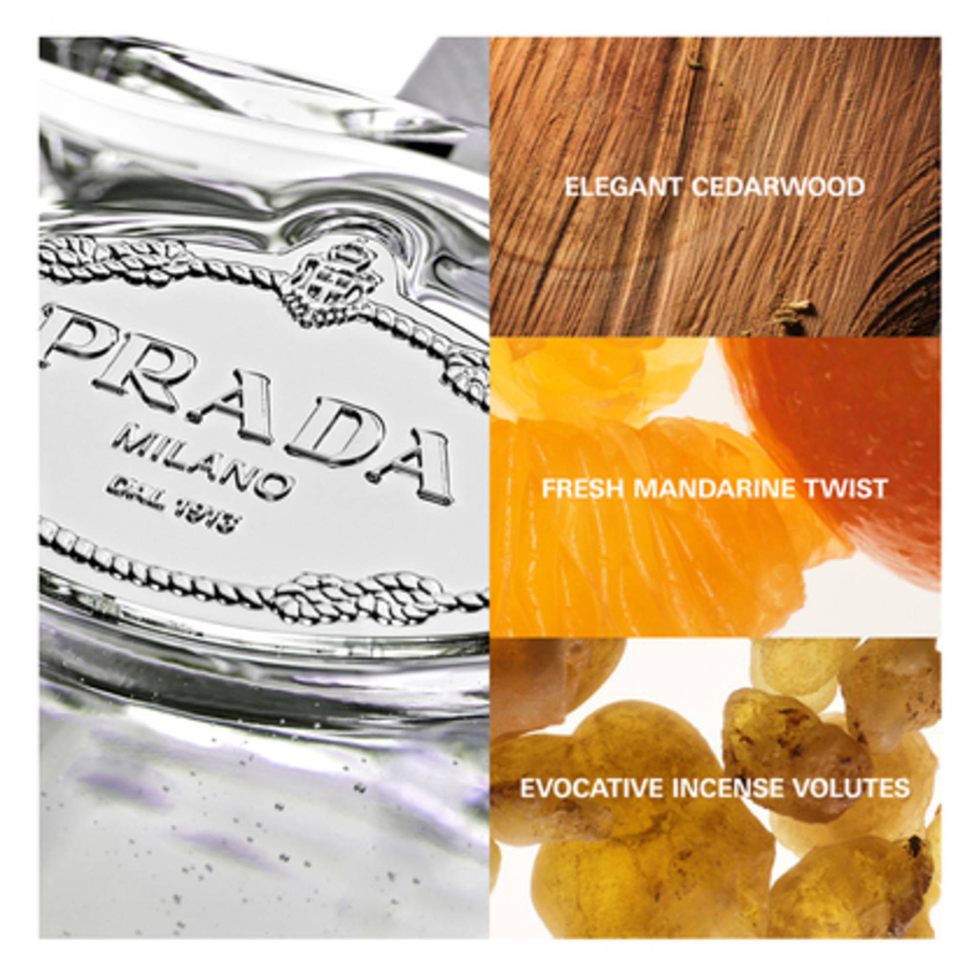 Cèdre Eau de Parfum