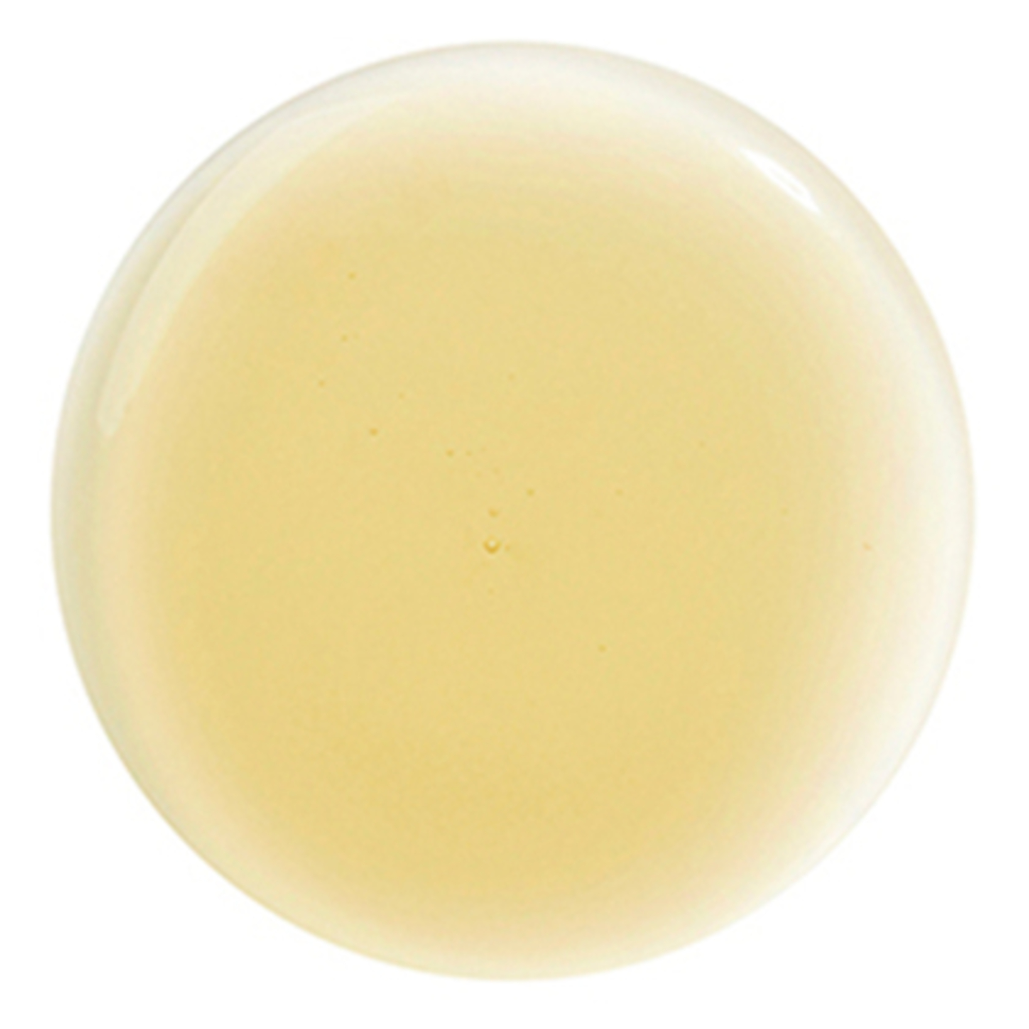 Soin Lavant Lissant à l'huile de Moringa Glättendes Shampoo ohne Sulfate