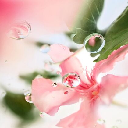 Eau de Toilette