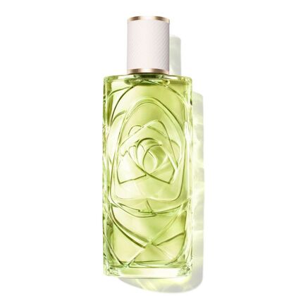 100 ML Lancôme LES Ô ÔFF NOW Eau de Toilette  1 of 7 