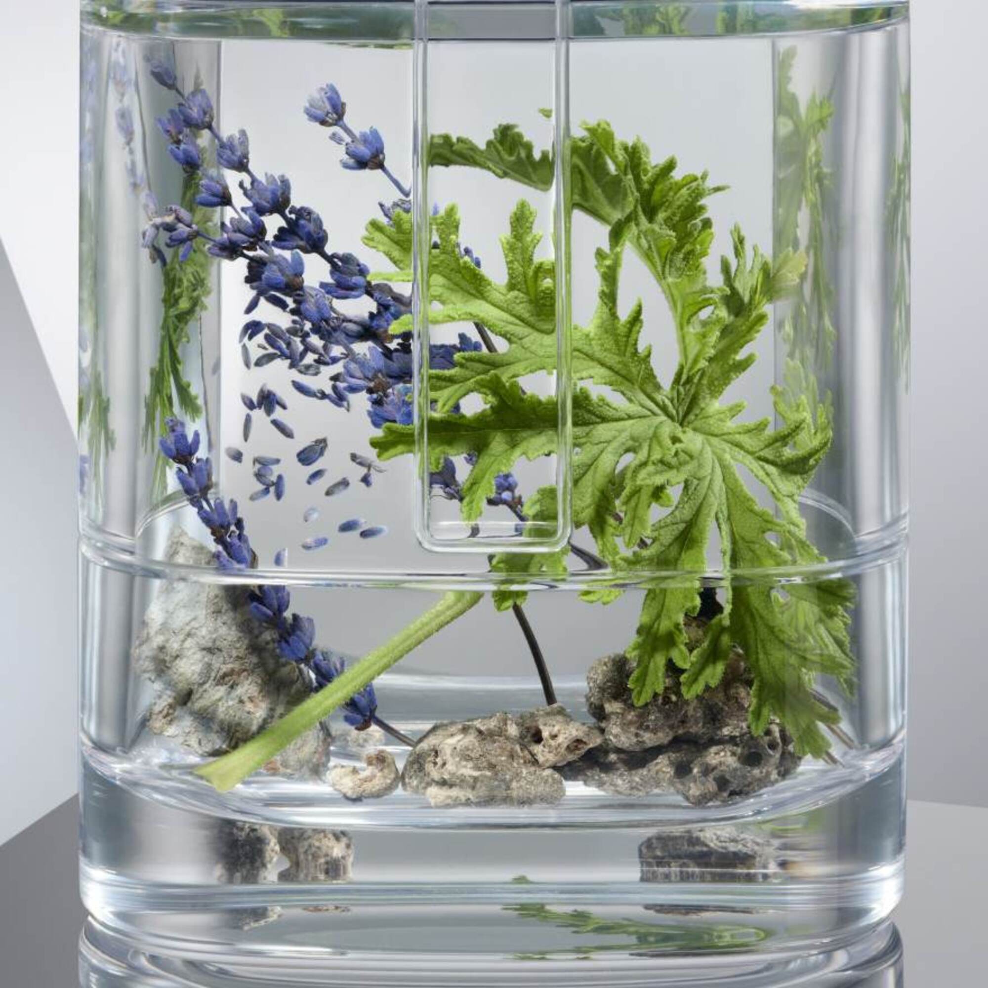 Eau de Toilette Refill