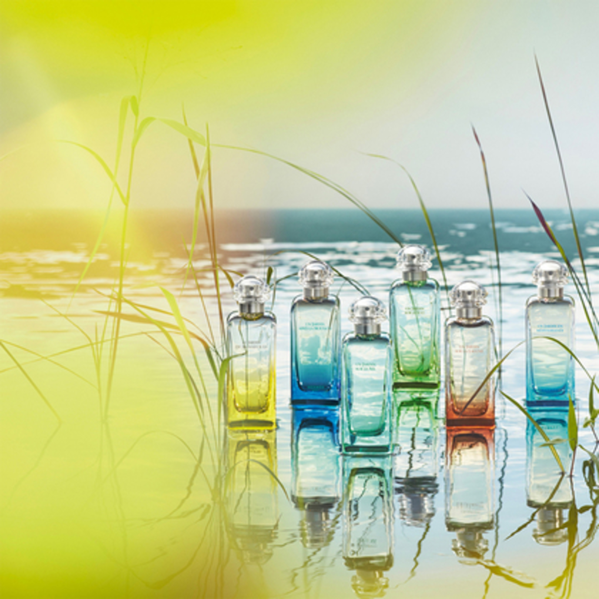 UN JARDIN SUR LE TOIT Eau de Toilette