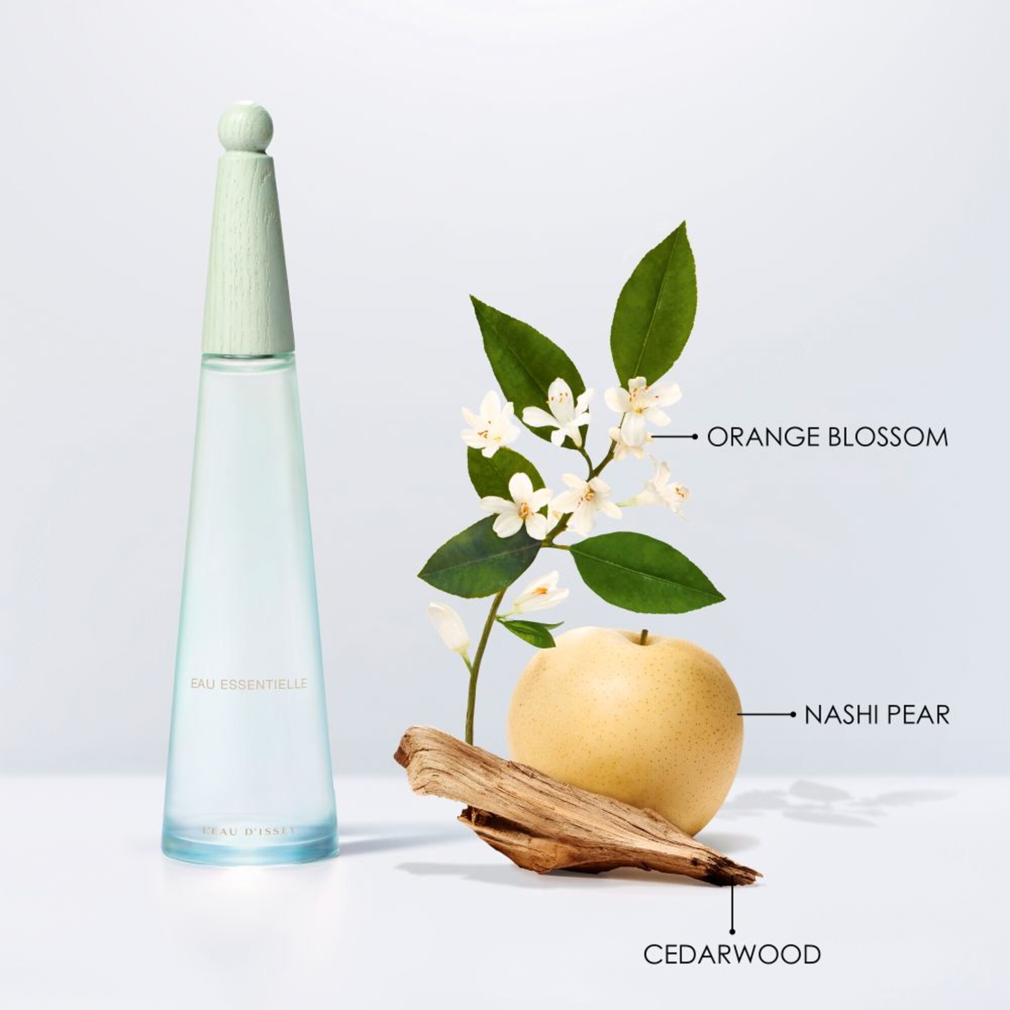 100 ML Issey Miyake LES EAUX D'ISSEY Eau de Parfum 1 of 5