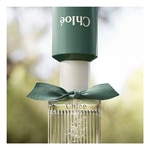 100 ML Chloé ROSE NATURAL INTENSE Eau de Parfum 2 of 3 Eau de Parfum