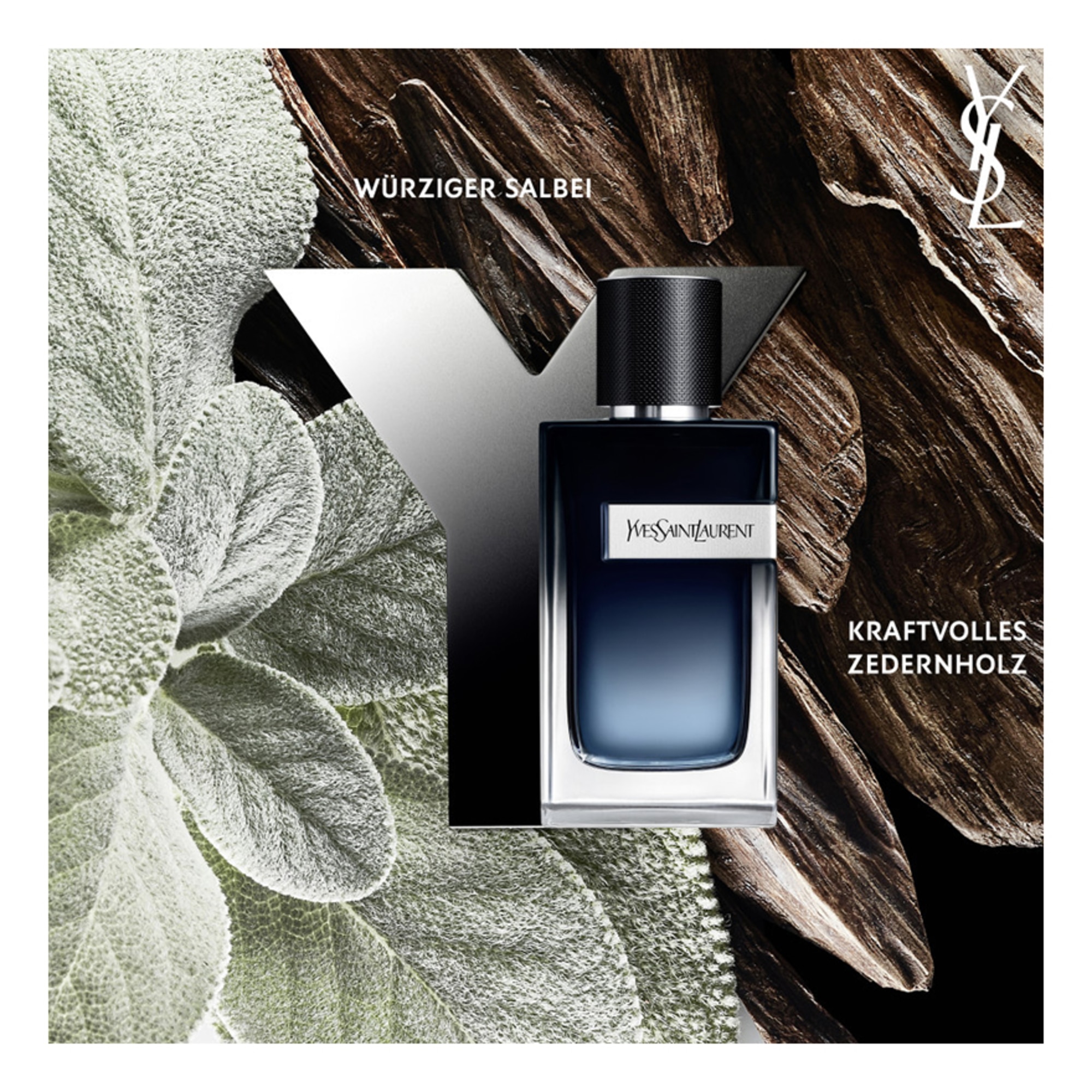 Eau de Parfum Intense, 60 ml