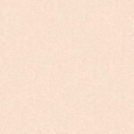 CHANEL POUDRE UNIVERSELLE LIBRE Puder 7 of 7 Puder