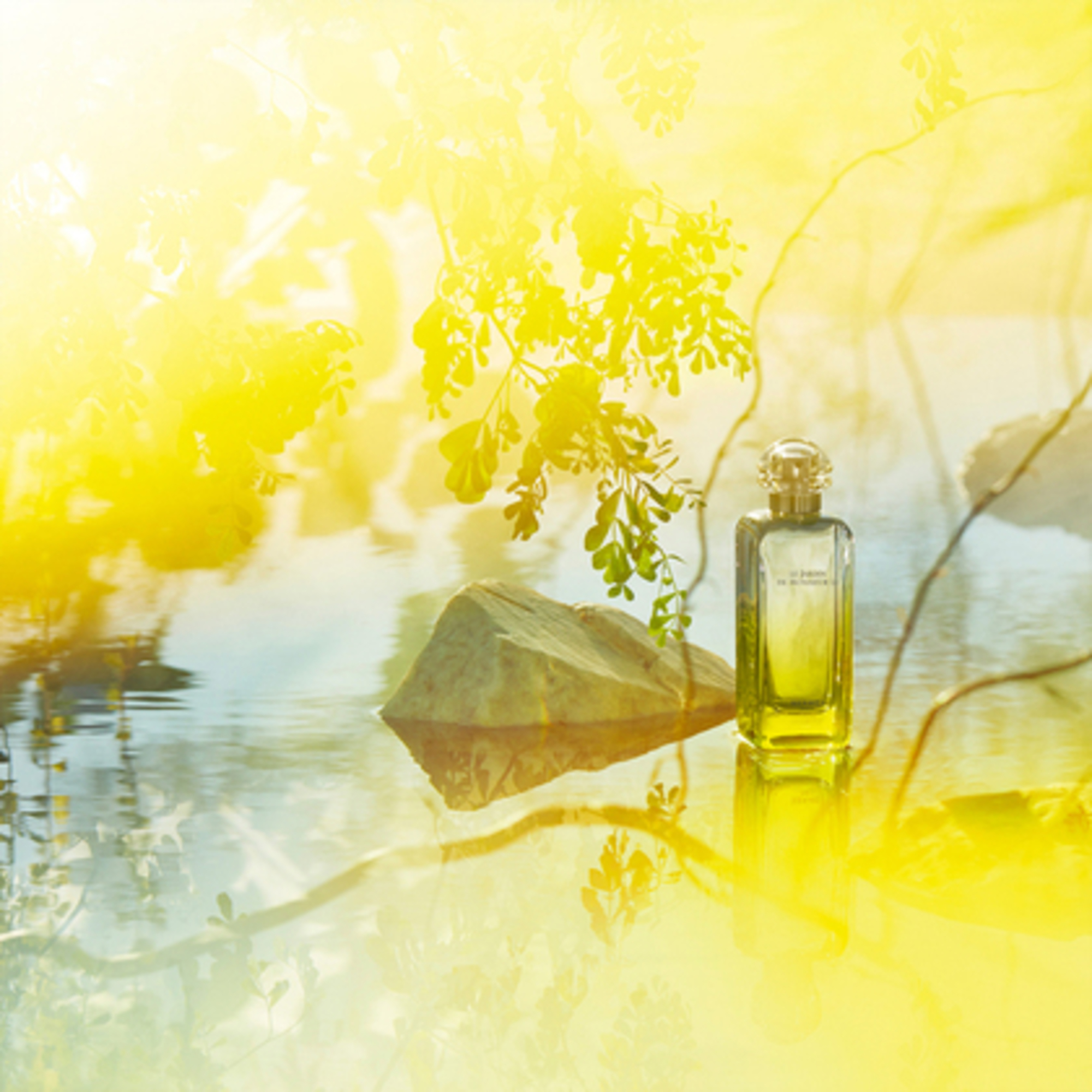 LE JARDIN DE MONSIEUR LI Eau de Toilette