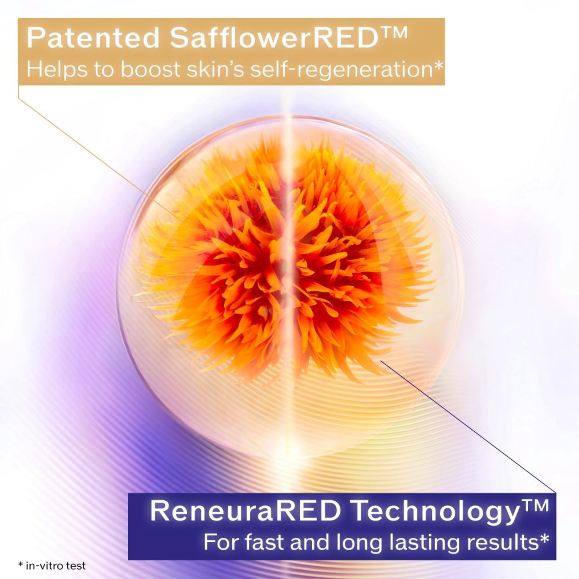 Straffende Nachtpflege Creme
