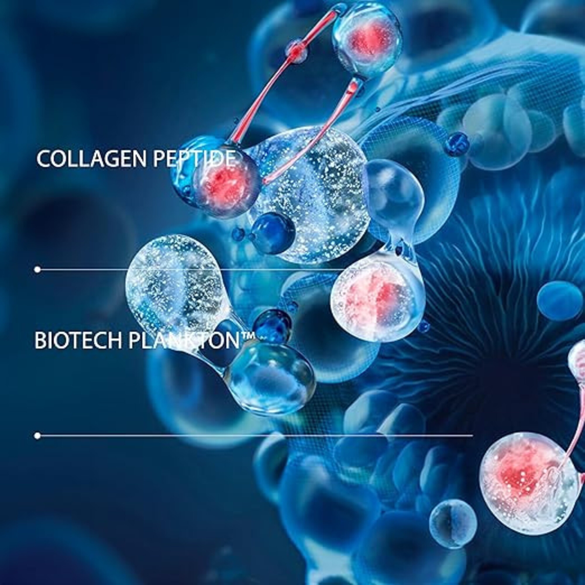 Blue Peptides Uplift Day Cream