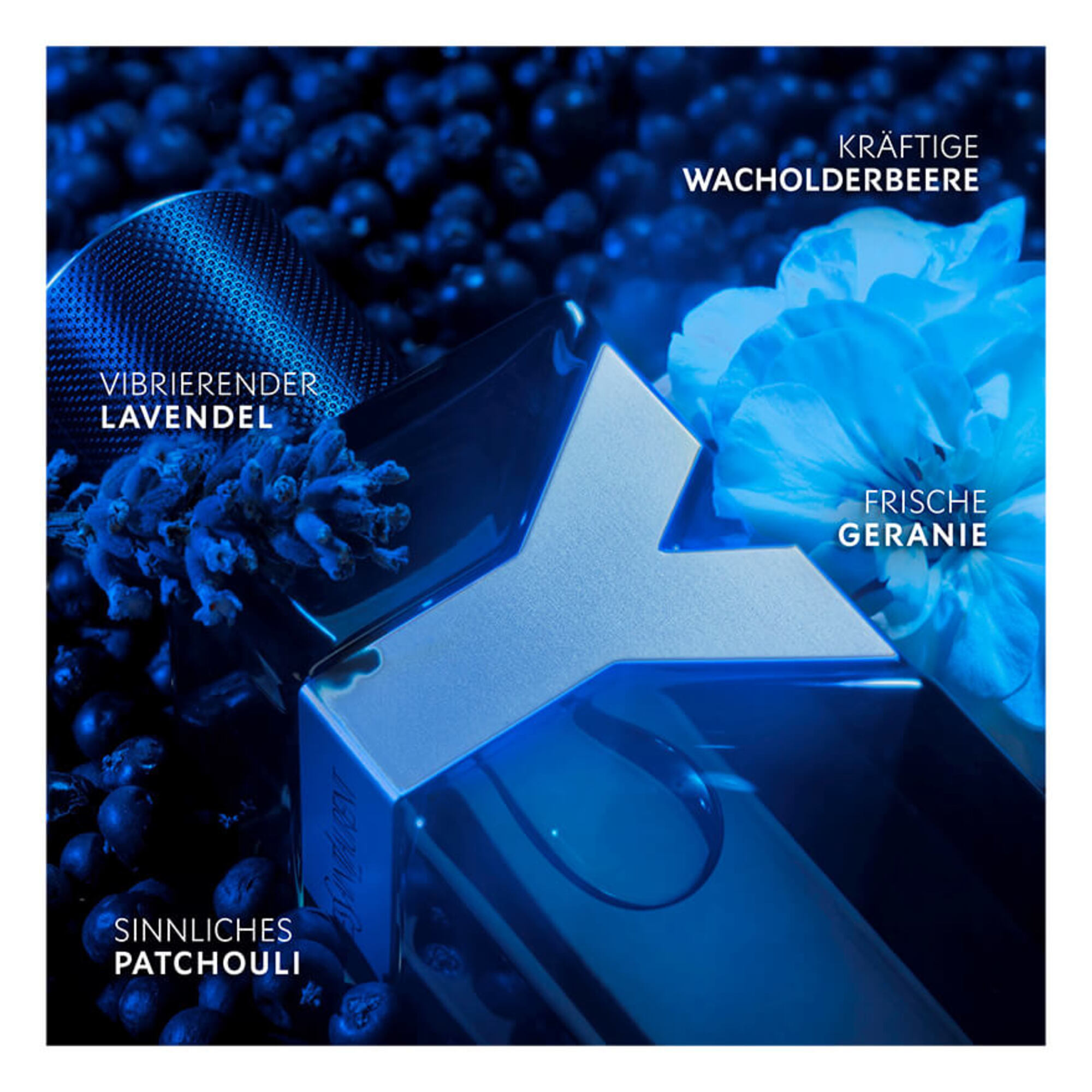 Eau de Parfum Intense