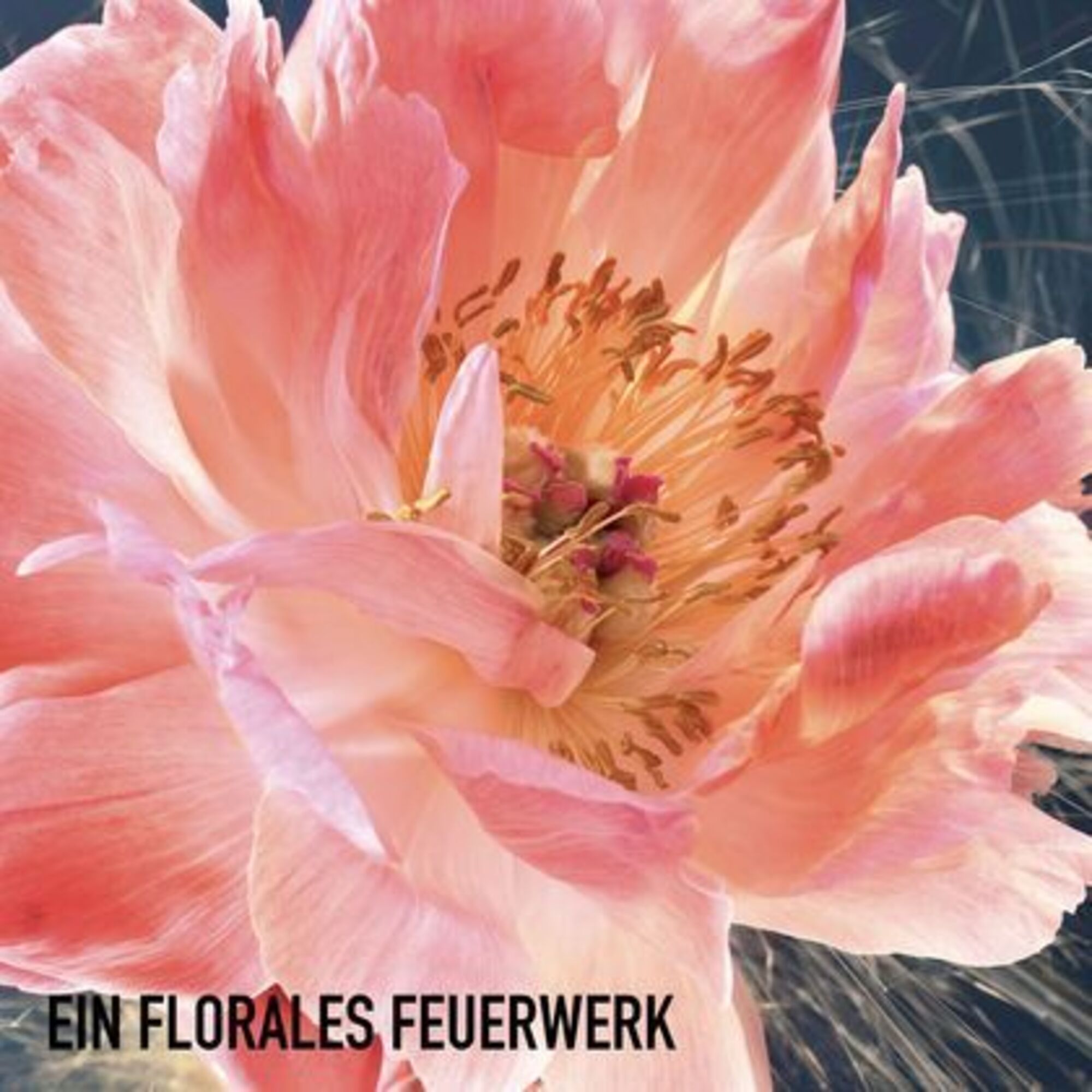 Eau de Parfum, 50 ml