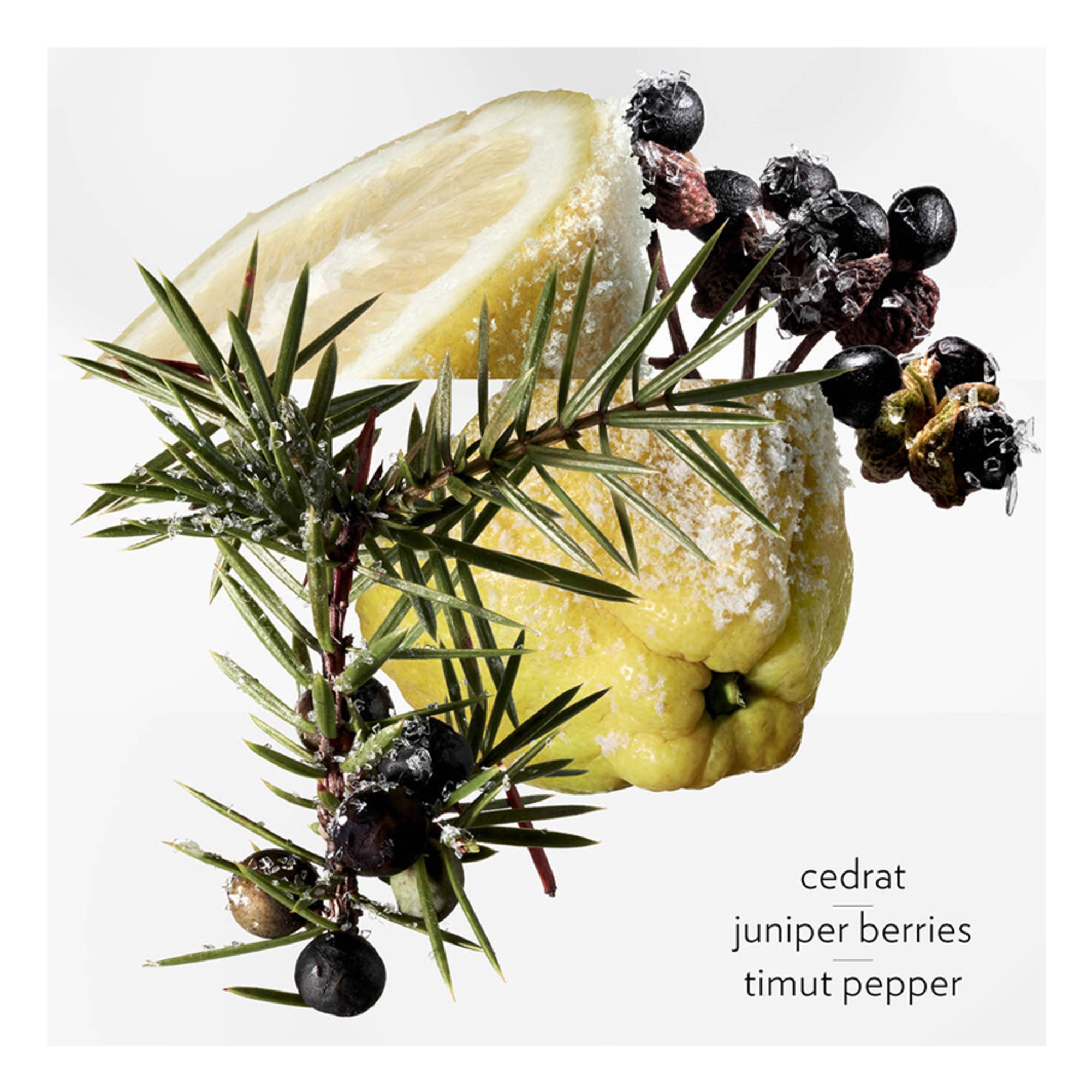 100 ML Hermès TERRE  D'HERMÈS EAU GIVRÉE Eau de Parfum  1 of 3 