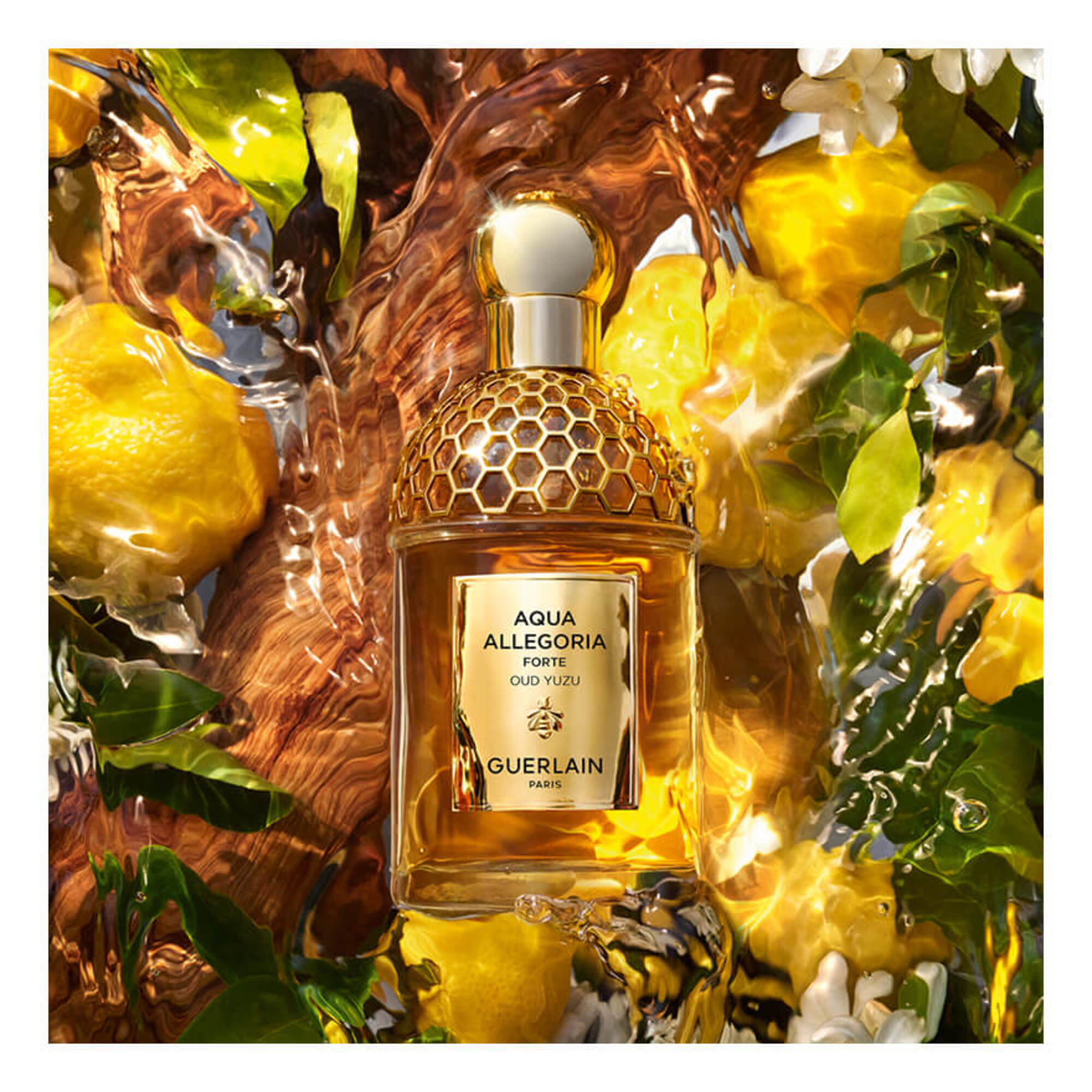 Oud Yuzu Forte Eau de Parfum