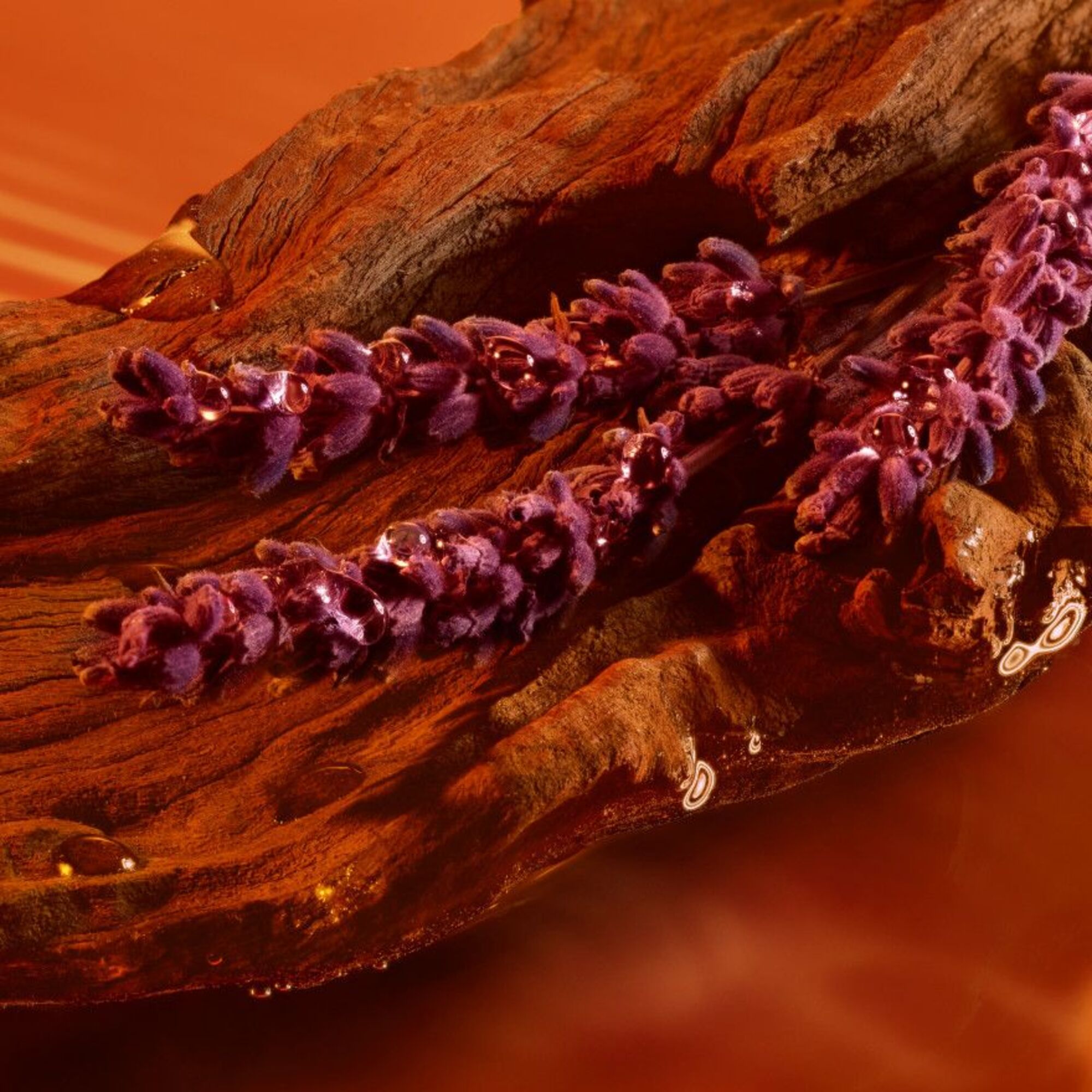 Eau de Parfum, 50 ml