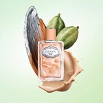 100 ML Prada Infusion de Santal Chai Eau de Parfum 4 of 4 Eau de Parfum