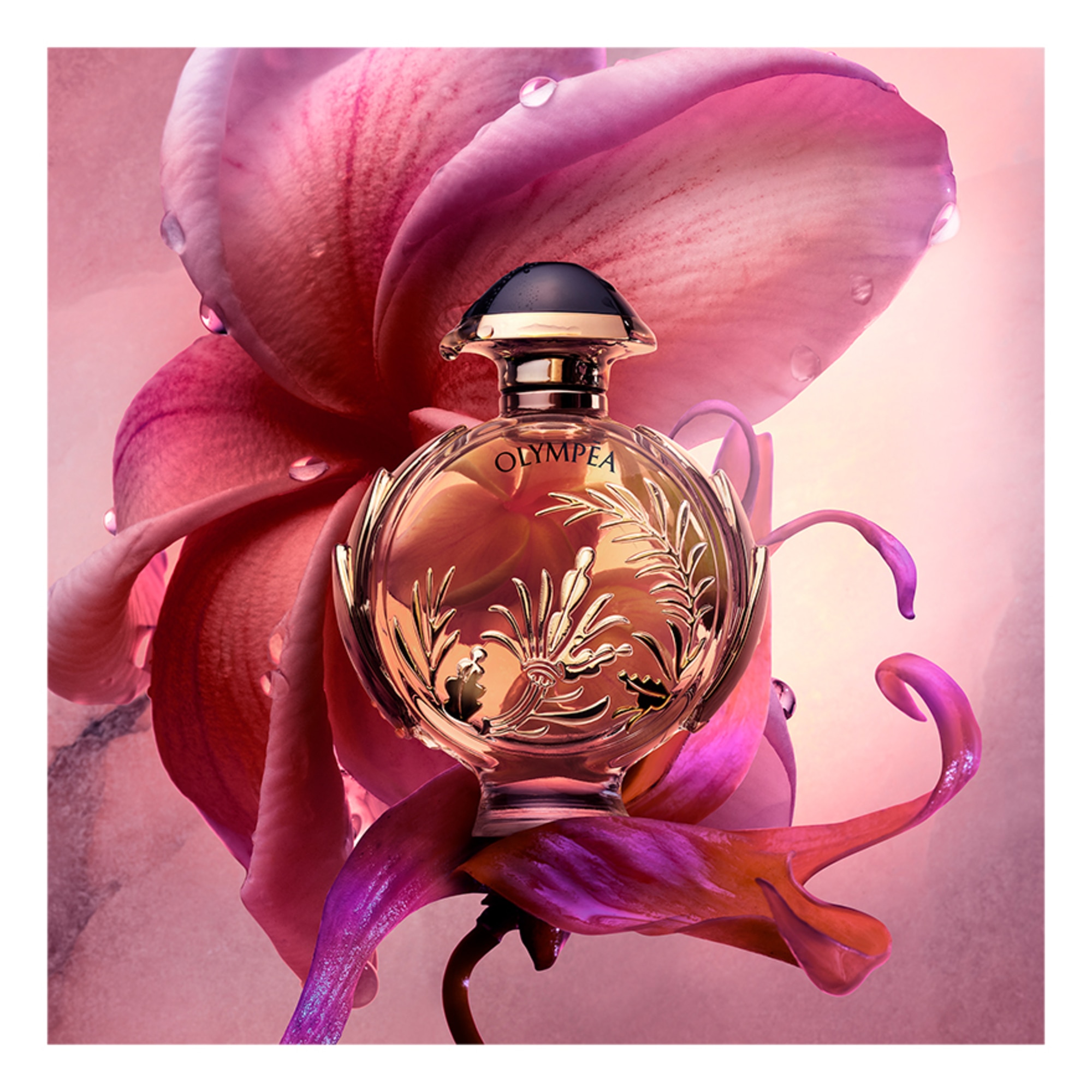 50 ML Rabanne OLYMPÉA SOLAR INTENSE Eau de Parfum Intense  2 of 4 Eau de Parfum Intense