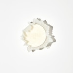 100 G PLISSON 1808 SKINCARE Rasierseife 2 of 3 Rasierseife