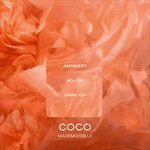100 ML CHANEL COCO MADEMOISELLE INTENSE Eau de Parfum Intense  2 of 5 Eau de Parfum Intense