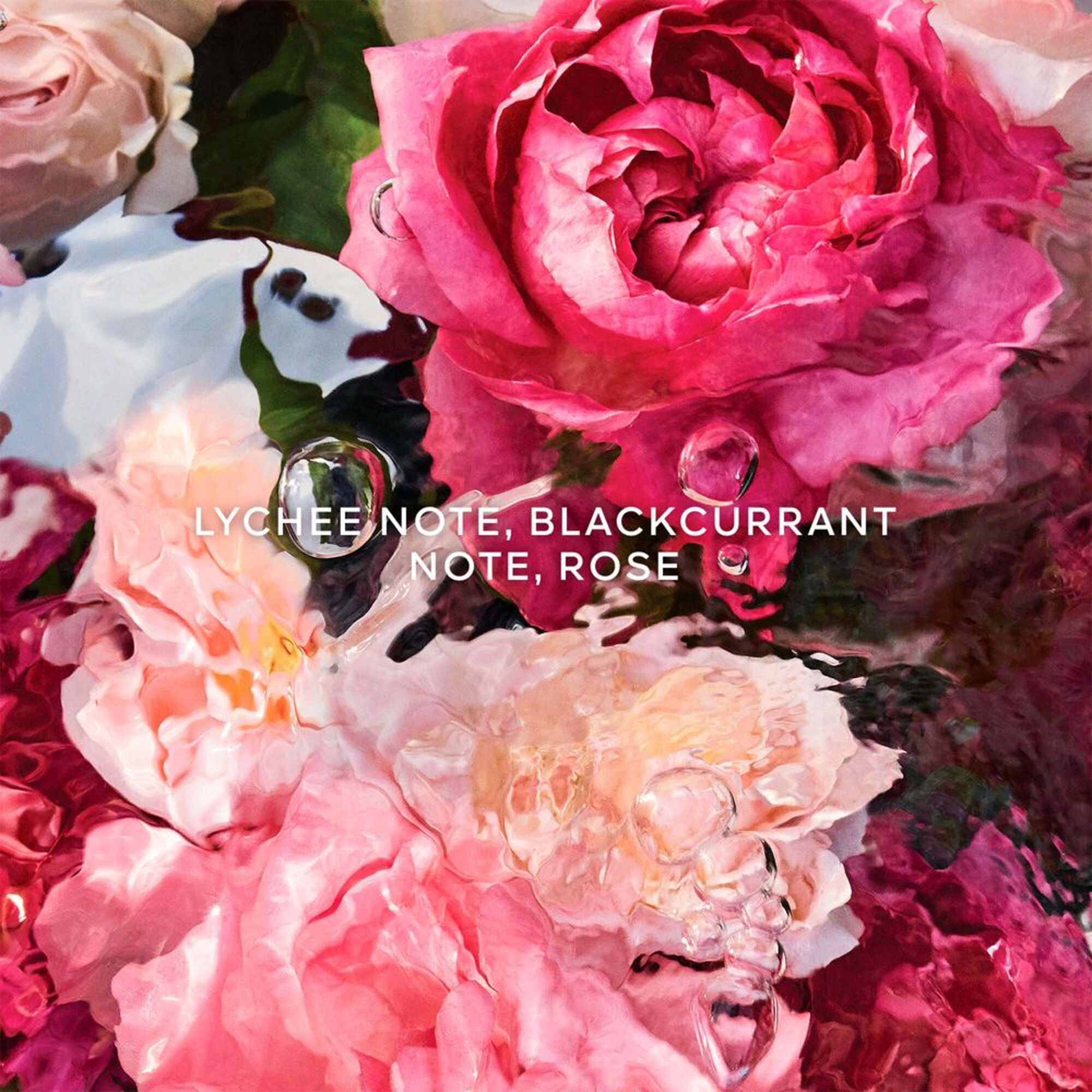 Rosa Rossa Eau de Toilette Refill