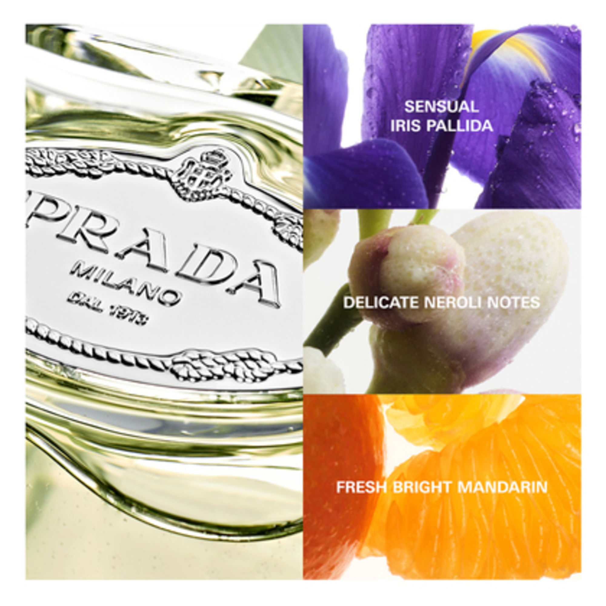 Infusion d'Iris Eau de Parfum