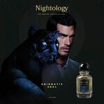 100 ML Nightology ENIGMATIC SOUL Eau de Parfum  1 of 3 Eau de Parfum