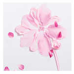 100 ML Dior MISS DIOR Körperpflegeduft  2 of 2 Körperpflegeduft