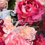 200 ML Guerlain AQUA ALLEGORIA Rosa Rossa Eau de Toilette Refill  3 of 3 Rosa Rossa Eau de Toilette Refill