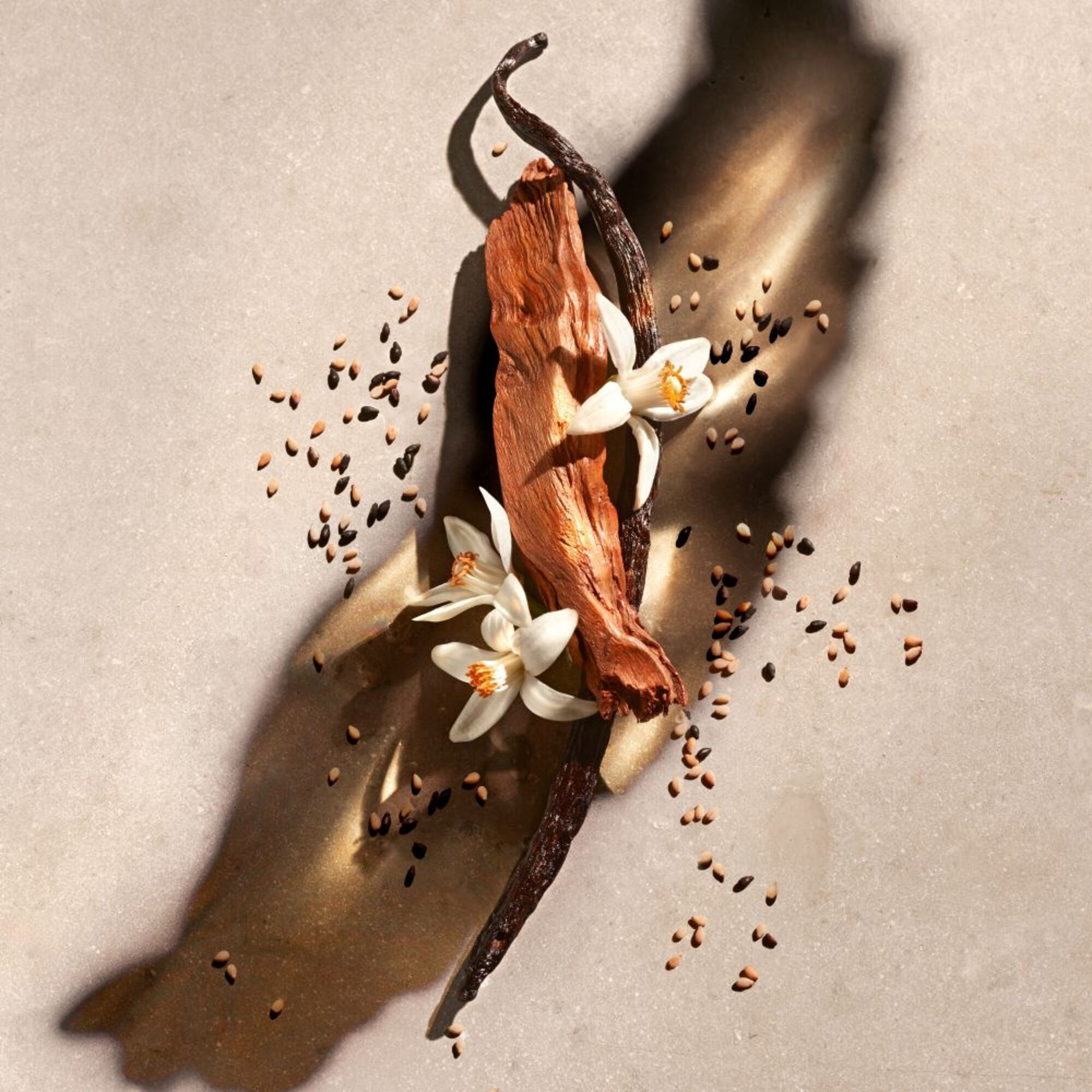 Zadig EDP Refill 150ml