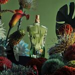 75 ML Jean Paul Gaultier LE BEAU PARADISE GARDEN JPG LE BEAU PARADISE GARDEN ED  2 of 6 JPG LE BEAU PARADISE GARDEN ED