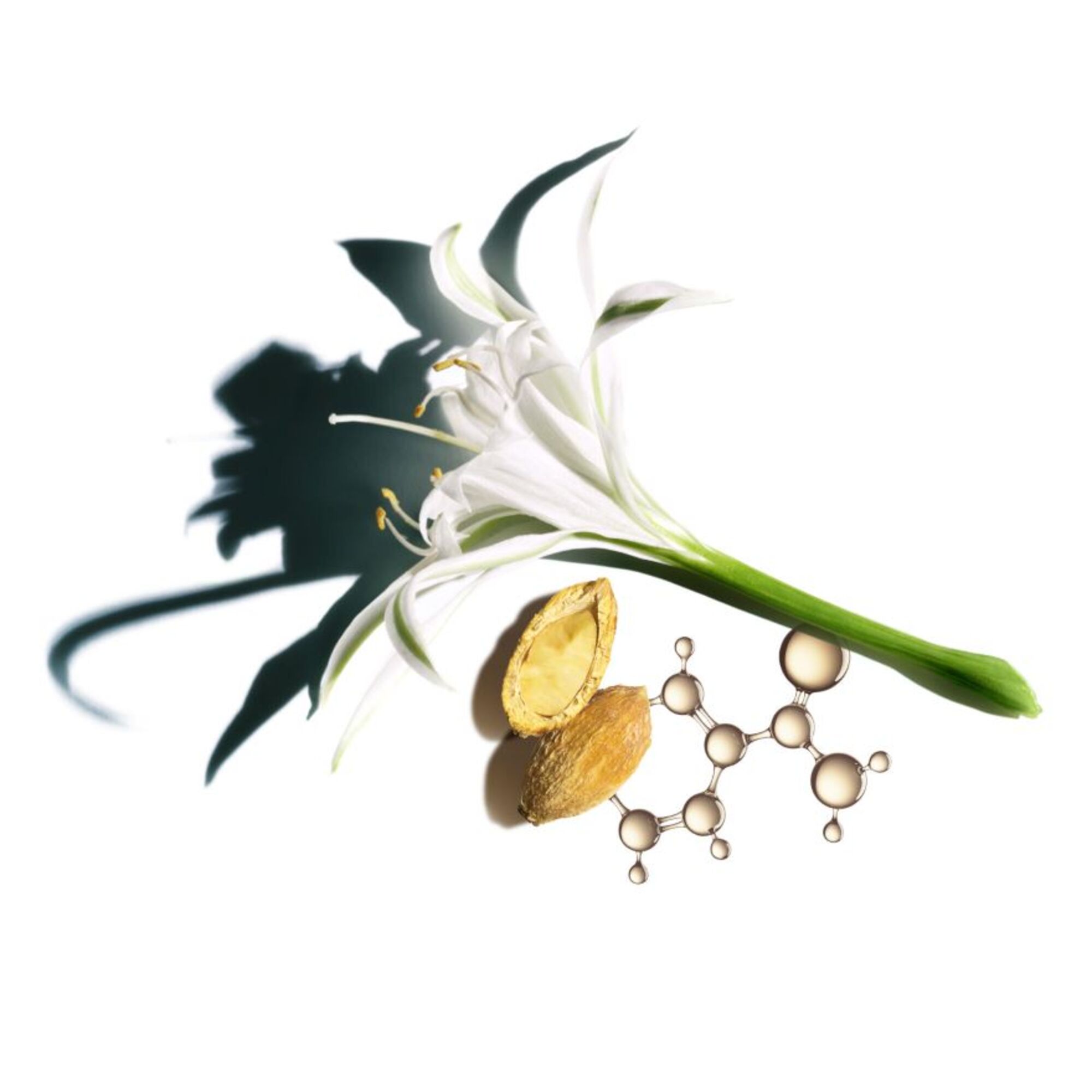 Nutri-Lumière SPF 15