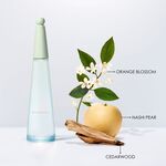 100 ML Issey Miyake LES EAUX D'ISSEY Eau de Parfum 2 of 5 Eau de Parfum