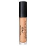 BAREPRO 16 HR Concealer