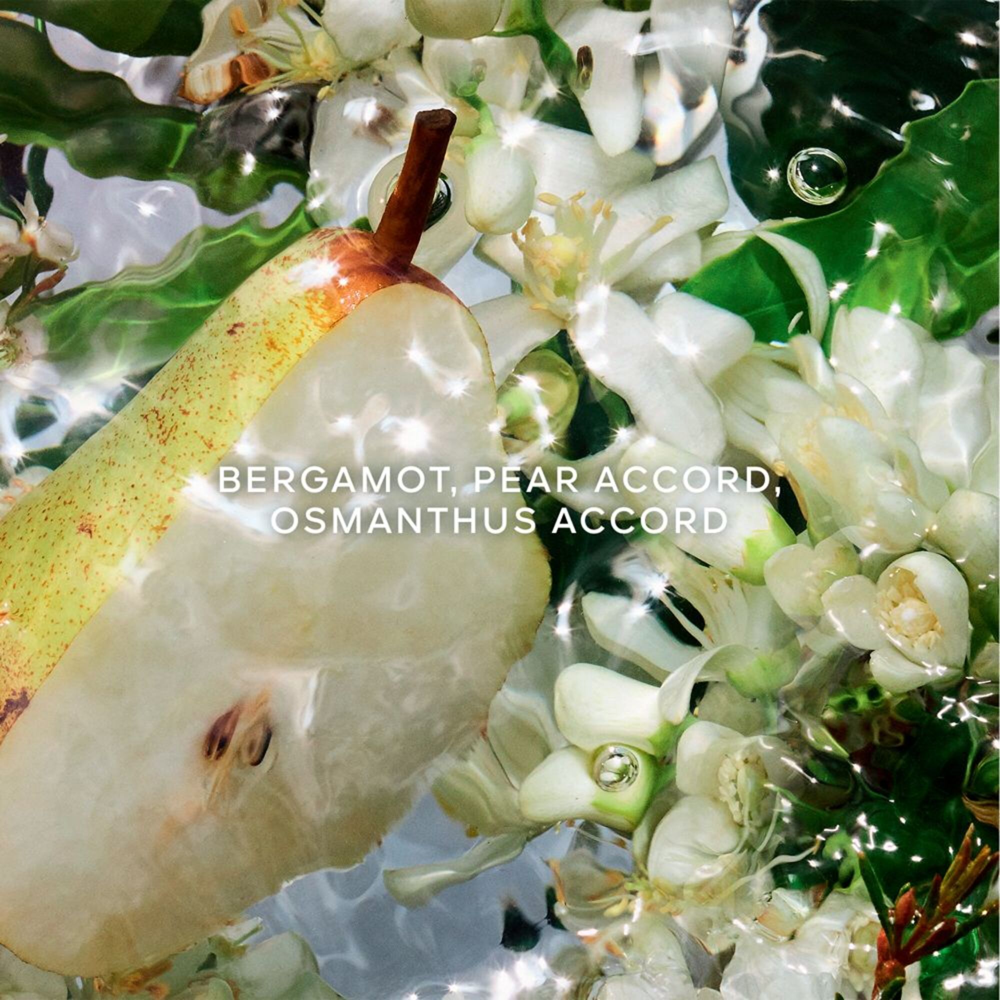 Pera Granita Eau de Toilette Refill