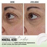 15 G bareMinerals SKINLONGEVITY Augencreme  6 of 6 Augencreme