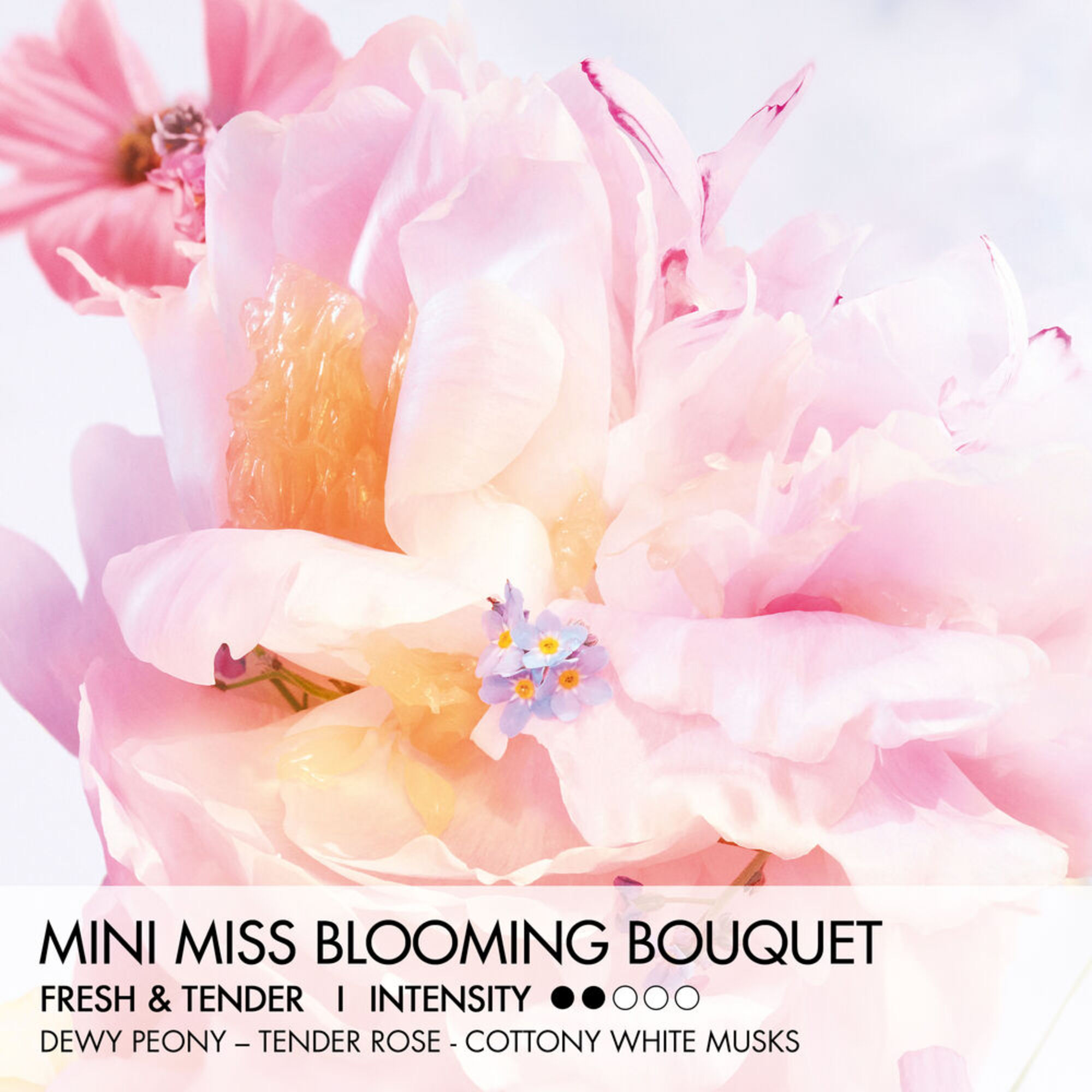 Mini Miss Parfum-Stick