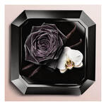 30 ML Lancôme LA NUIT TRÉSOR L'EAU DE PARFUM La Nuit Trésor L'Eau de Parfum Eau de Parfum, 30ml  2 of 2 La Nuit Trésor L'Eau de Parfum Eau de Parfum, 30ml