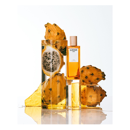 LOEWE SOLO ELLA  E