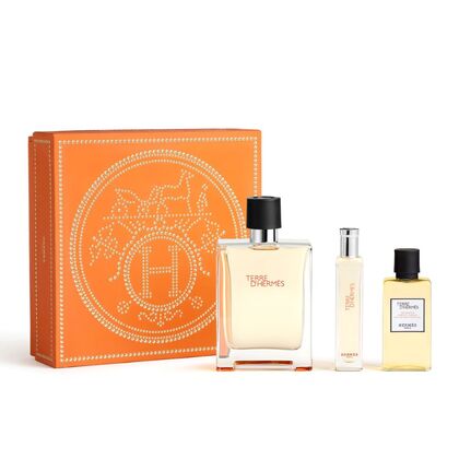 100 ML Hermès TERRE D'HERMÈS Geschenkset  1 of 1 Geschenkset