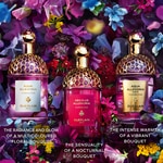 75 ML Guerlain ABSOLUS ALLEGORIA Damenduft  5 of 7 Damenduft