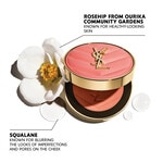 Yves Saint Laurent MAKE ME BLUSH Blush 6 of 8 Blush