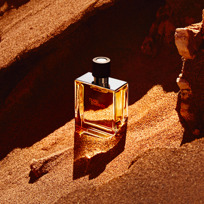 75 ML Hermès TERRE D'HERMÈS TERRE D'HERMÈS Eau de Parfum  1 of 3 