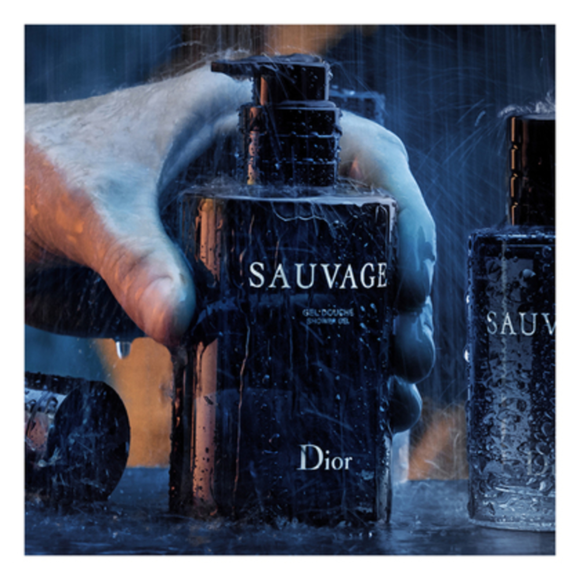 CD DG SAUVAGE
