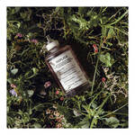 100 ML Maison Margiela REPLICA Eau de Toilette 3 of 3 Eau de Toilette