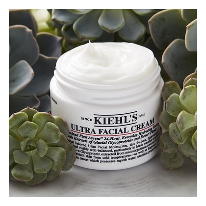 50 ML Kiehl's FACE CLEANSERS Ultra Facial - Gesichtscreme  1 of 3 