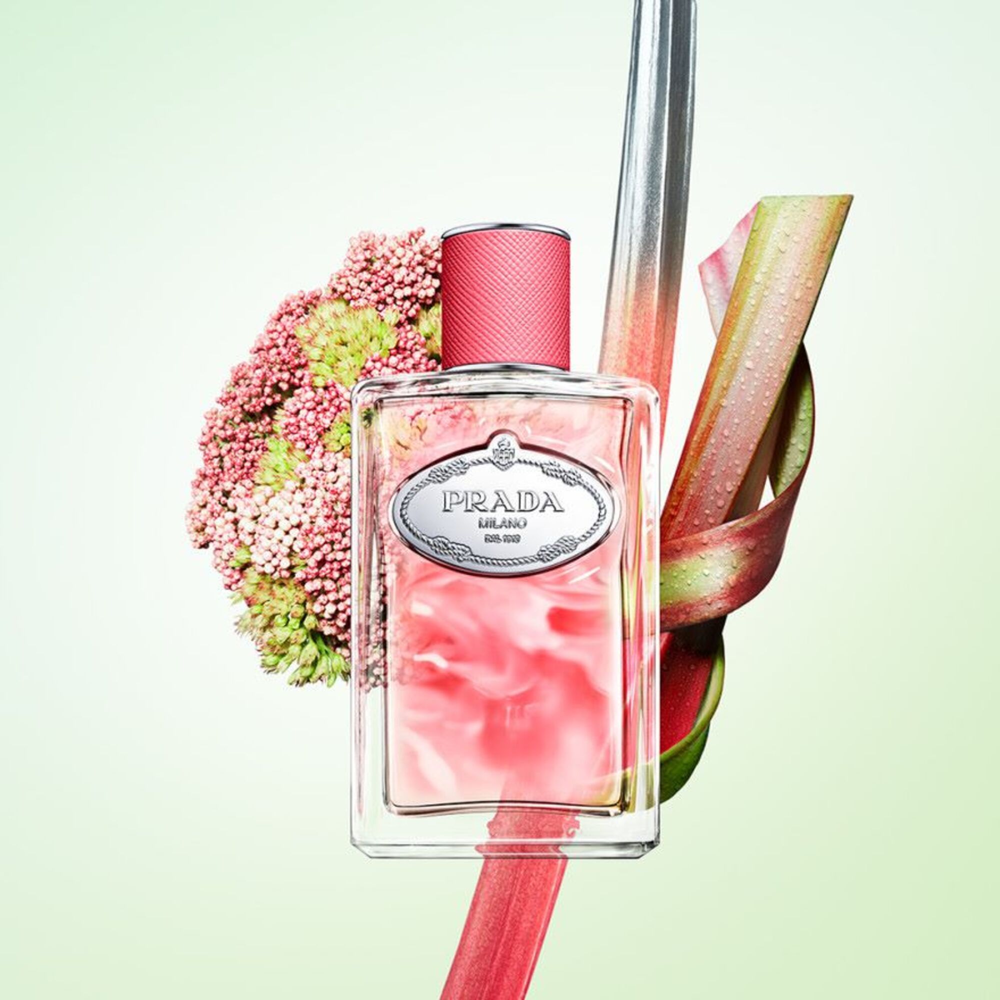 Infusion Rhubarbe Eau de Parfum