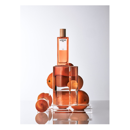 LOEWE SOLO ELLA ED