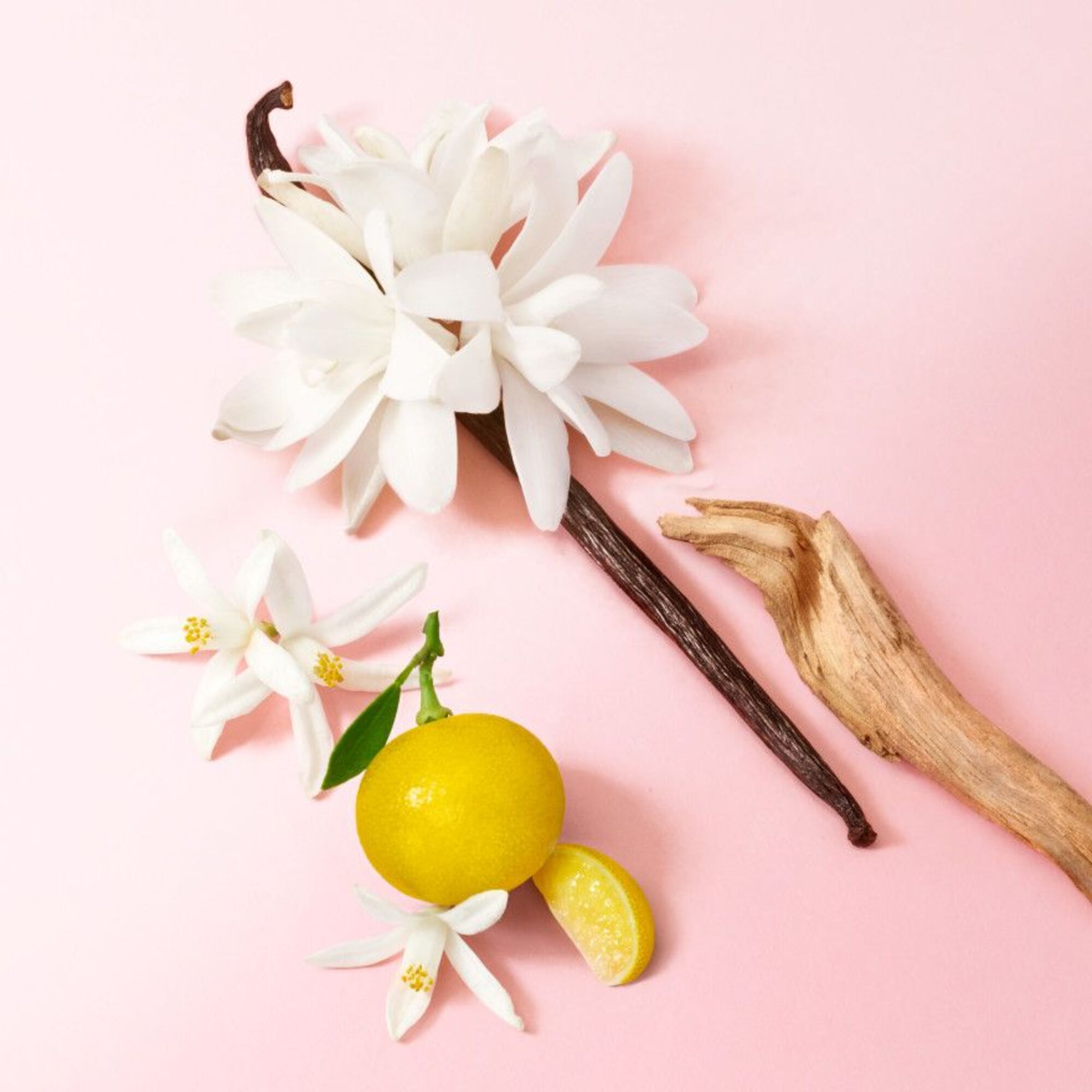 Eau de Parfum Refill